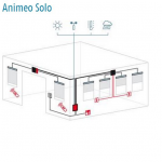 Animeo solo
