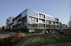The Link II / Berchem